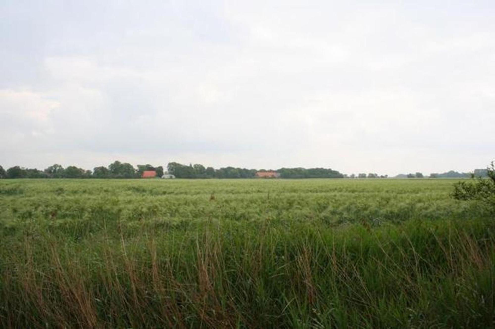 Ferienhaus 3370 In Tossens Stick Exterior photo